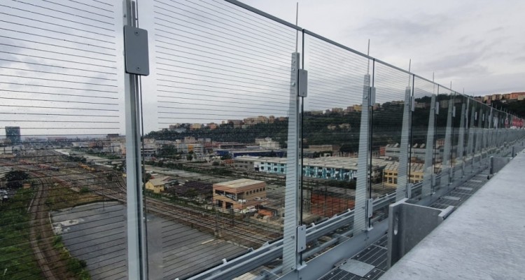 Il ponte di Genova è 'bird-friendly': barriere trasparenti difenderanno la migrazione