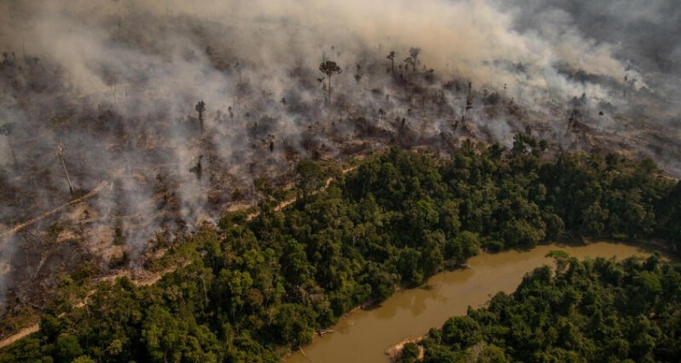 Greenpeace: l'Amazzonia continua a bruciare