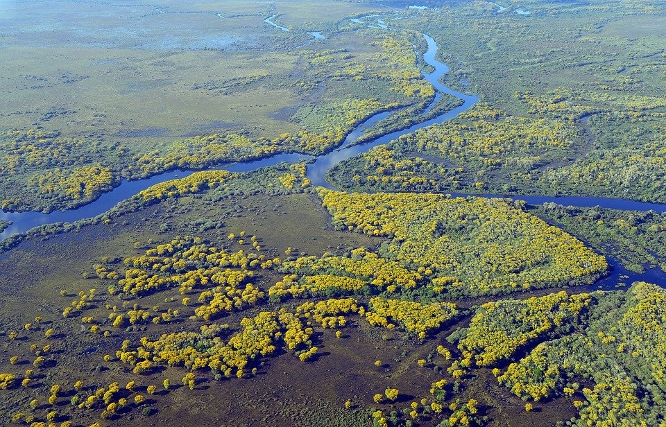 Greenpeace: Amazzonia, UE complice della deforestazione