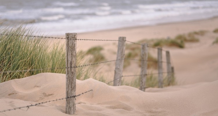 Barriere naturali contro le mareggiate a difesa delle dune costiere 