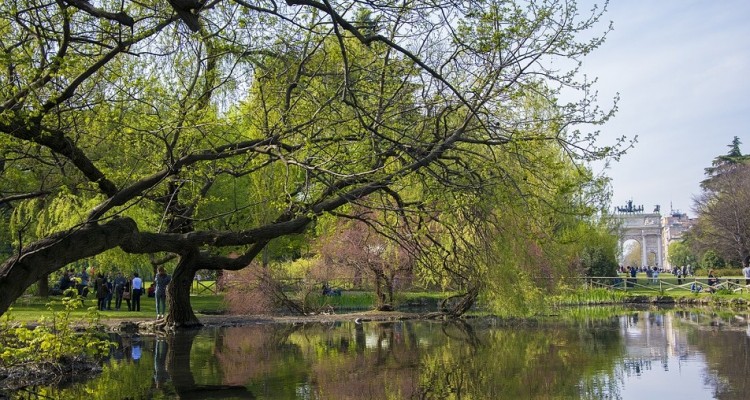 Forestazione urbana: 30 milioni di euro nel biennio 2020-2021 per i progetti nelle città metropolitane