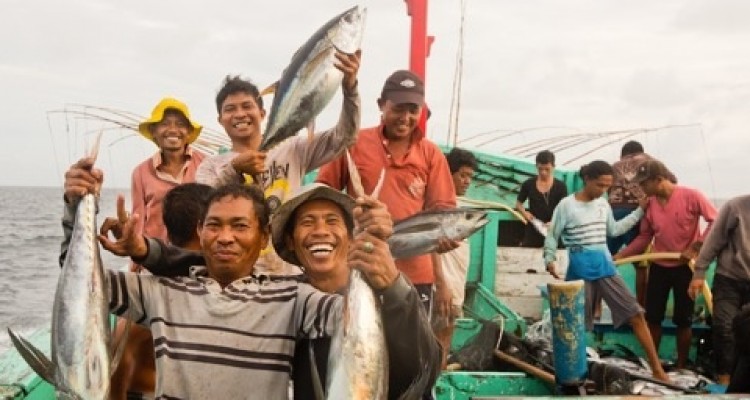 MSC: 1 milione di sterline per la pesca sostenibile