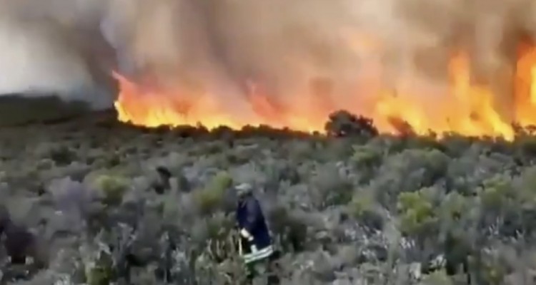 Un violento incendio sta distruggendo le foreste del Kilimangiaro