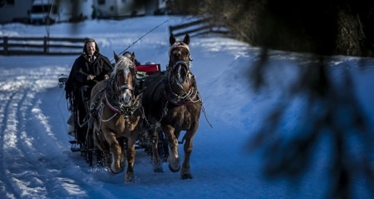 Natale in Valle Aurina tra cascate di ghiaccio illuminate, carrozze trainate da cavalli e presepi in esposizione