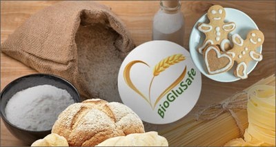 Da ENEA un glutine “detossificato” per alimenti adatti a celiaci e intolleranti