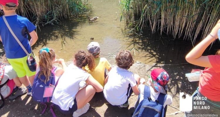 Milano: al via la nuova edizione di "Scuola Forestami"