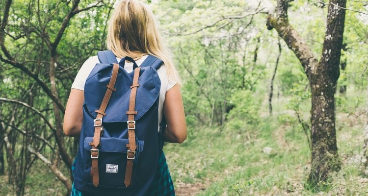 Dal Forest Bathing alle sagre fino alle cene in rifugio: esperienze slow in Dolomiti Paganella