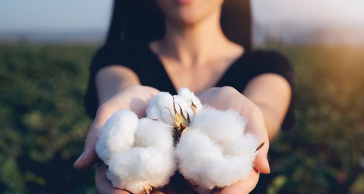 Cotone organico: test e certificazioni dedicate per stabilirne l'origine biologica