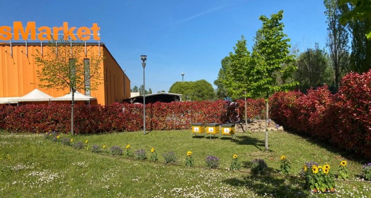 A Bologna il primo hotel Italiano con le api nel giardino