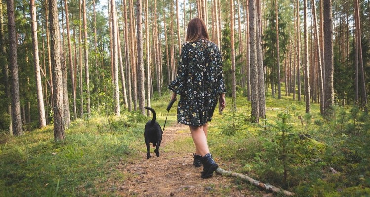 Sondaggio: con il cane, gli italiani camminano di più