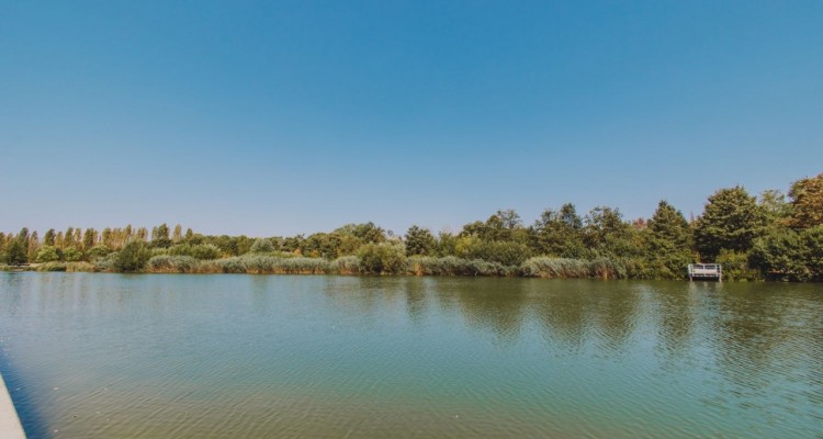 Siccità: a Milano acqua depurata per innaffiare il Parco Nord