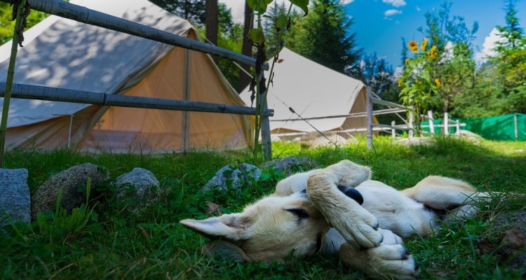 Camping e glamping: soluzioni outdoor sempre più amate anche d’inverno