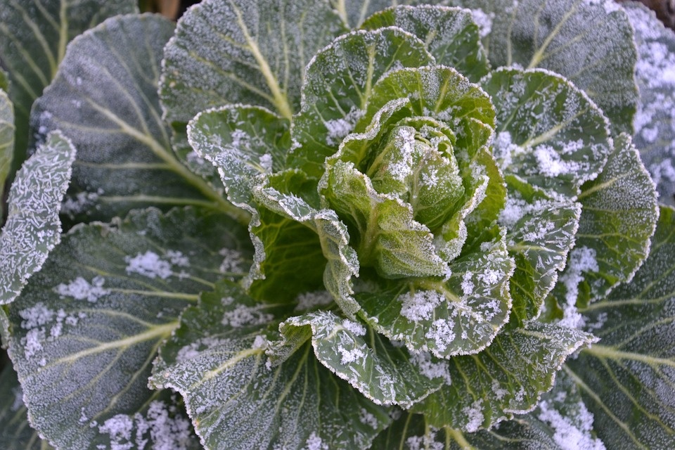 Maltempo: gelo e neve dopo gennaio con 1° in più