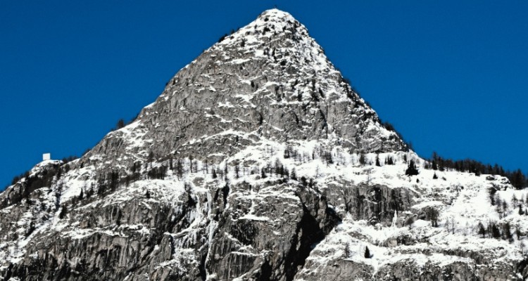 Courmayeur: nuovi ciliegi ai piedi del Monte Bianco