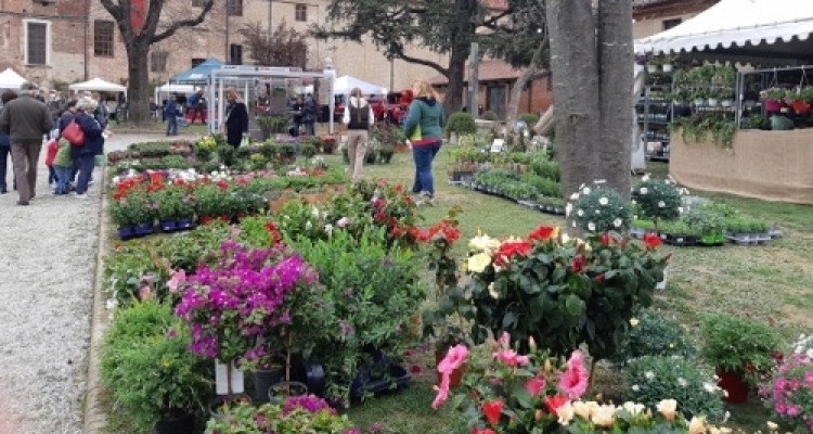 La nuova edizione di Ortoflora & Natura si terrà il 1 e 2 aprile a Carmagnola 