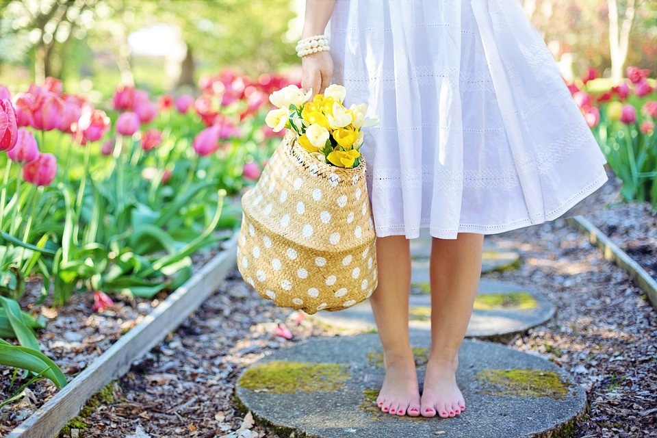 La primavera a Lana profuma di fiori di melo