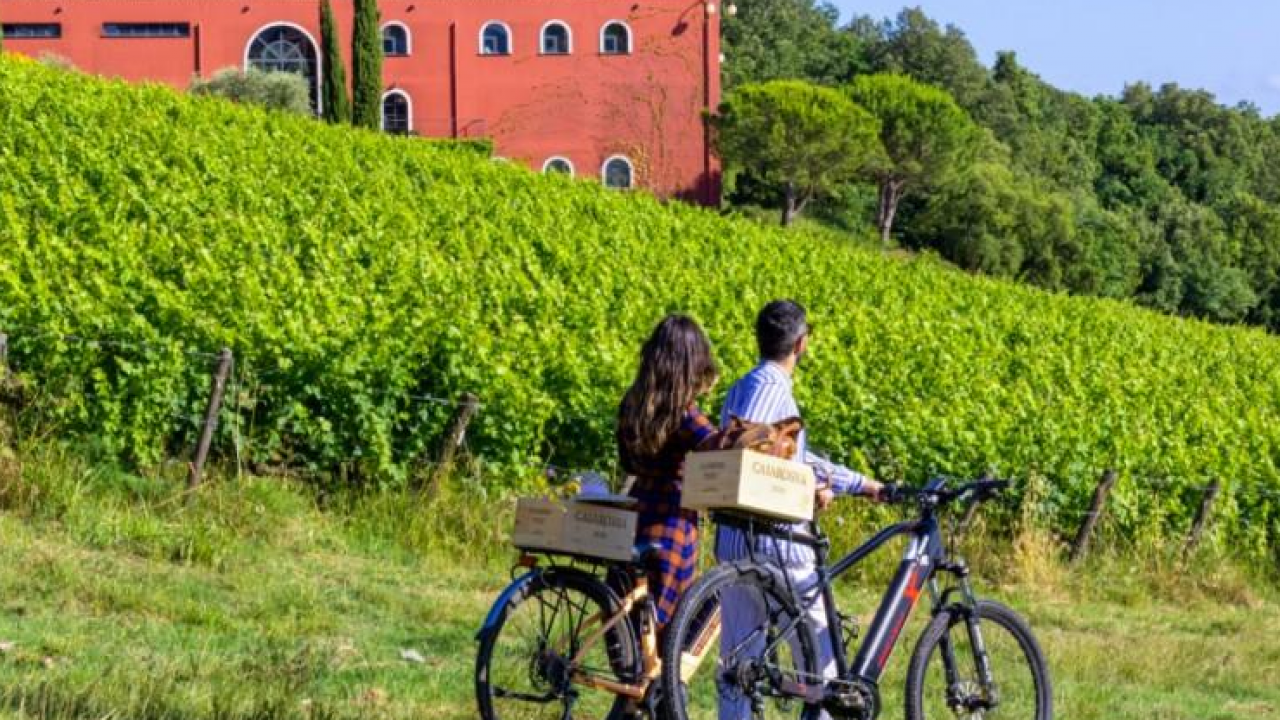 Outdoor tra le vigne di Caiarossa in e-Bike 