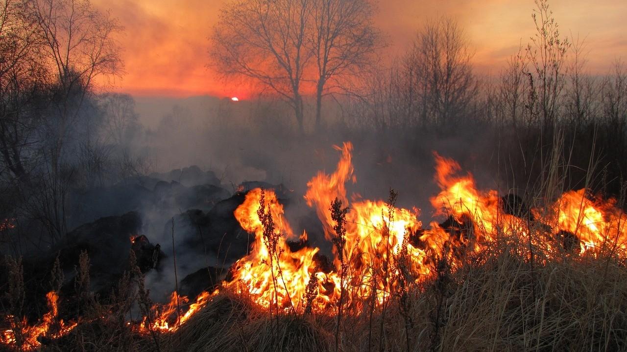 Incendi, PEFC Italia: nelle foreste gestite i danni diminuiscono del 50%