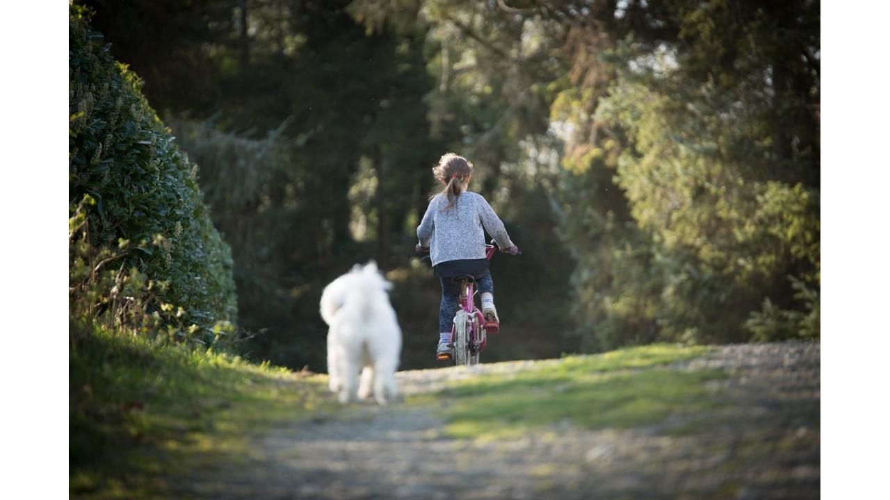 Idee in libertà per una vacanza dai ritmi green: in bicicletta nelle Langhe