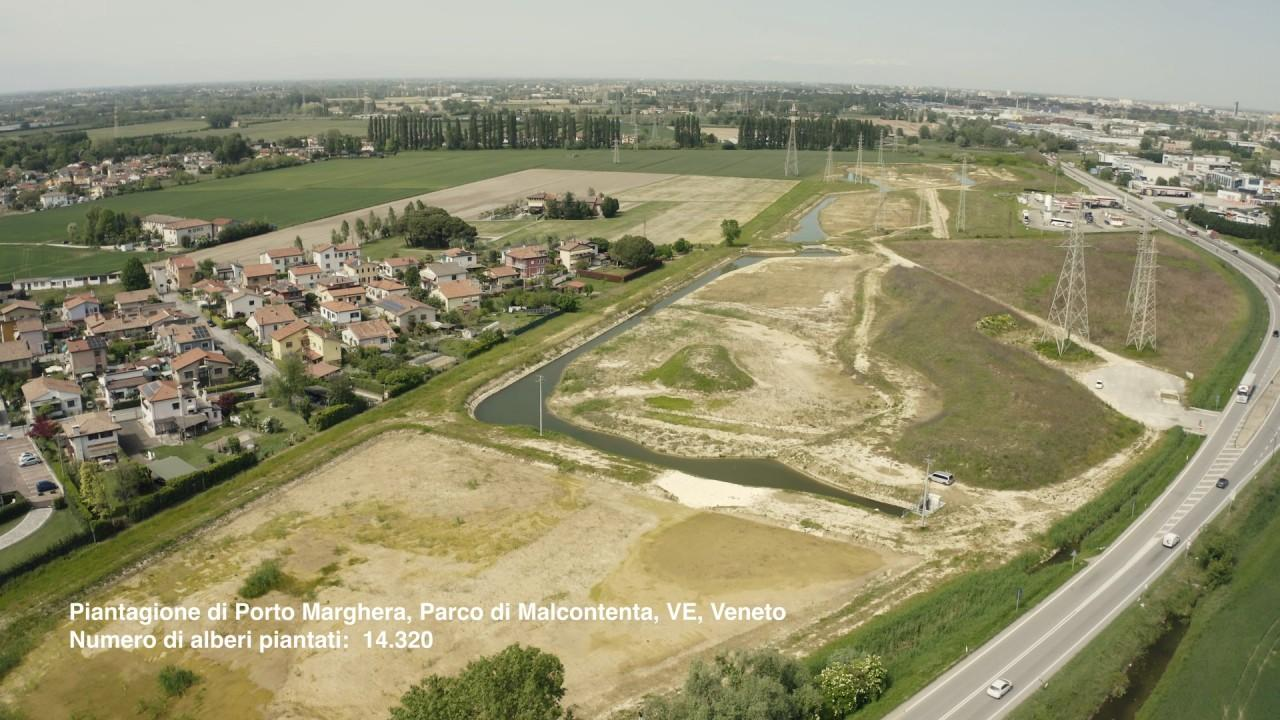 Parco Italia presenta la sua più grande piantagione: nell'area di Malcontenta (Venezia)