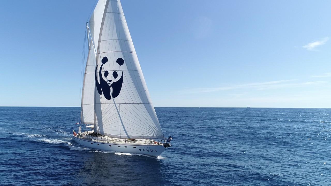 Torna la Blue Panda, barca ambassador del WWF