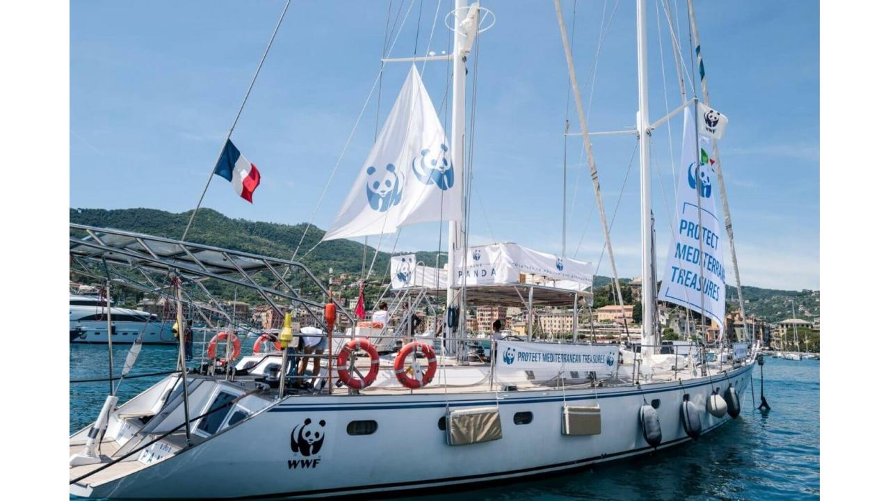 Approdata a Trieste la Blue Panda del WWF