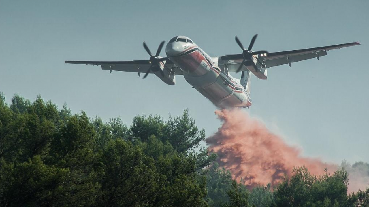 Copernicus: gli incendi in Sud America e Canada hanno prodotto notevoli emissioni di carbonio e di particolato