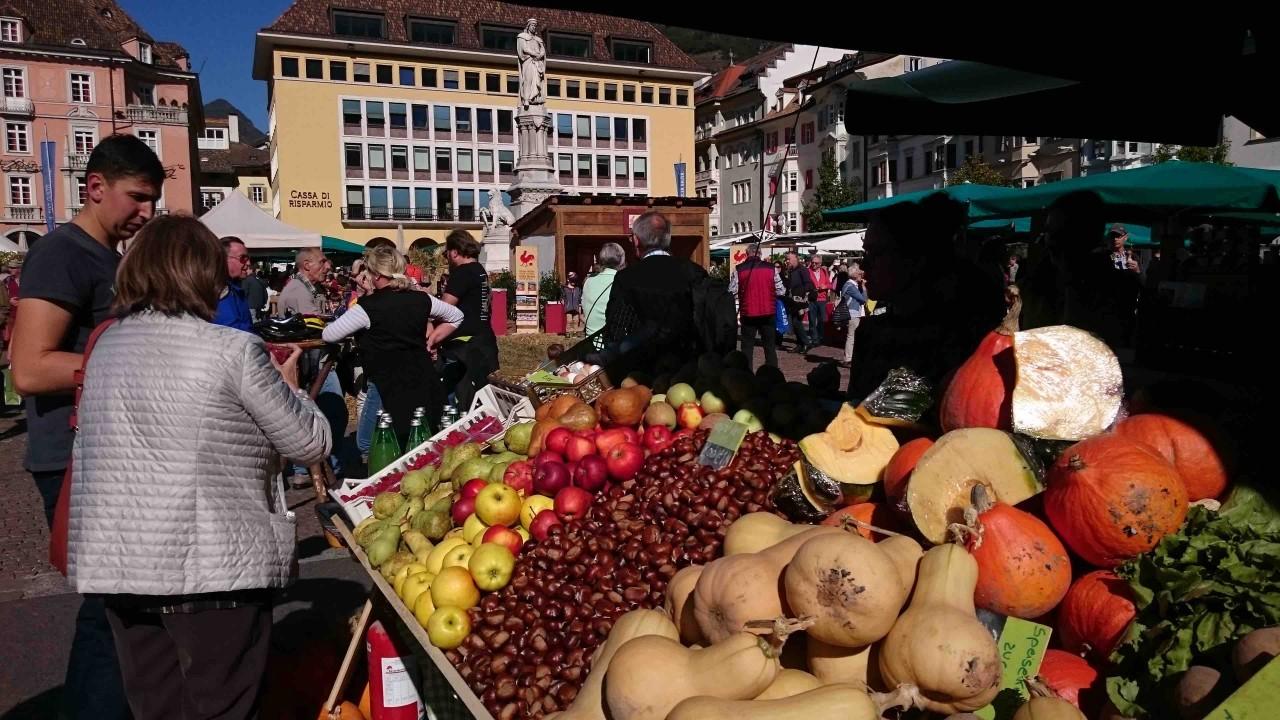 24a Festa del Ringraziamento per Gallo Rosso