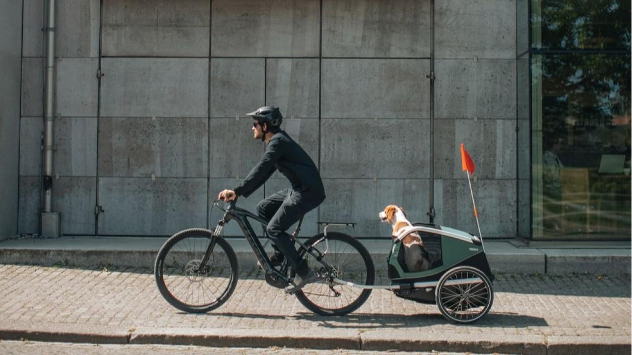 Thule Bexey, l’innovativo rimorchio da bici per cani