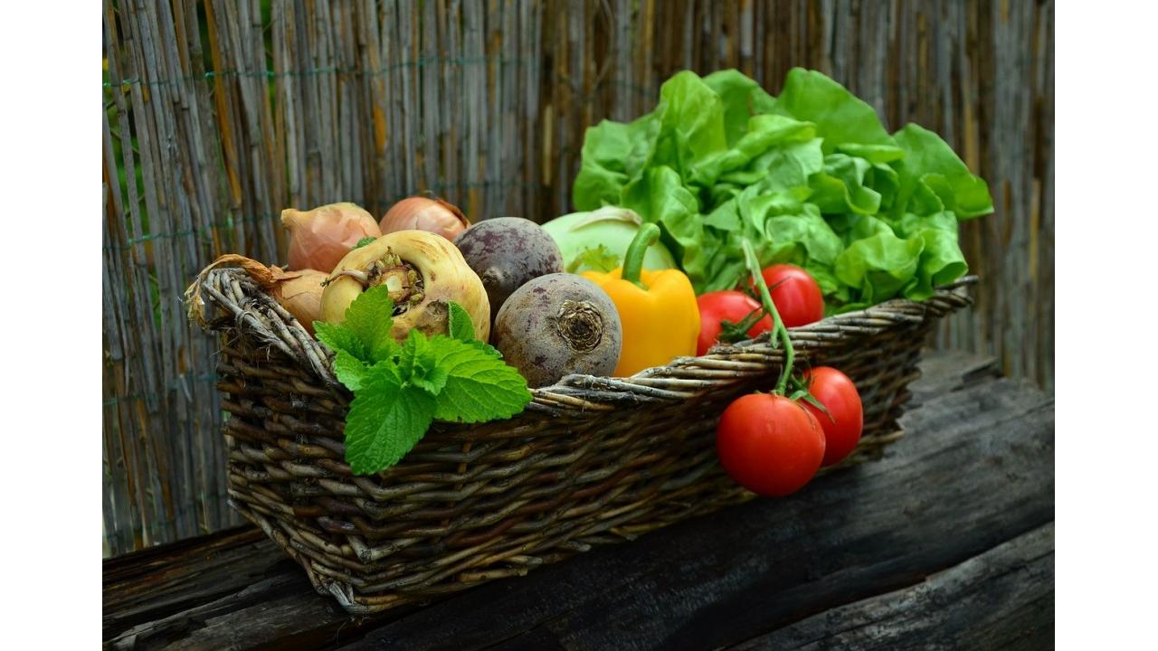 Mercato vegano: Italia al terzo posto in Europa con 681 milioni di euro di vendite