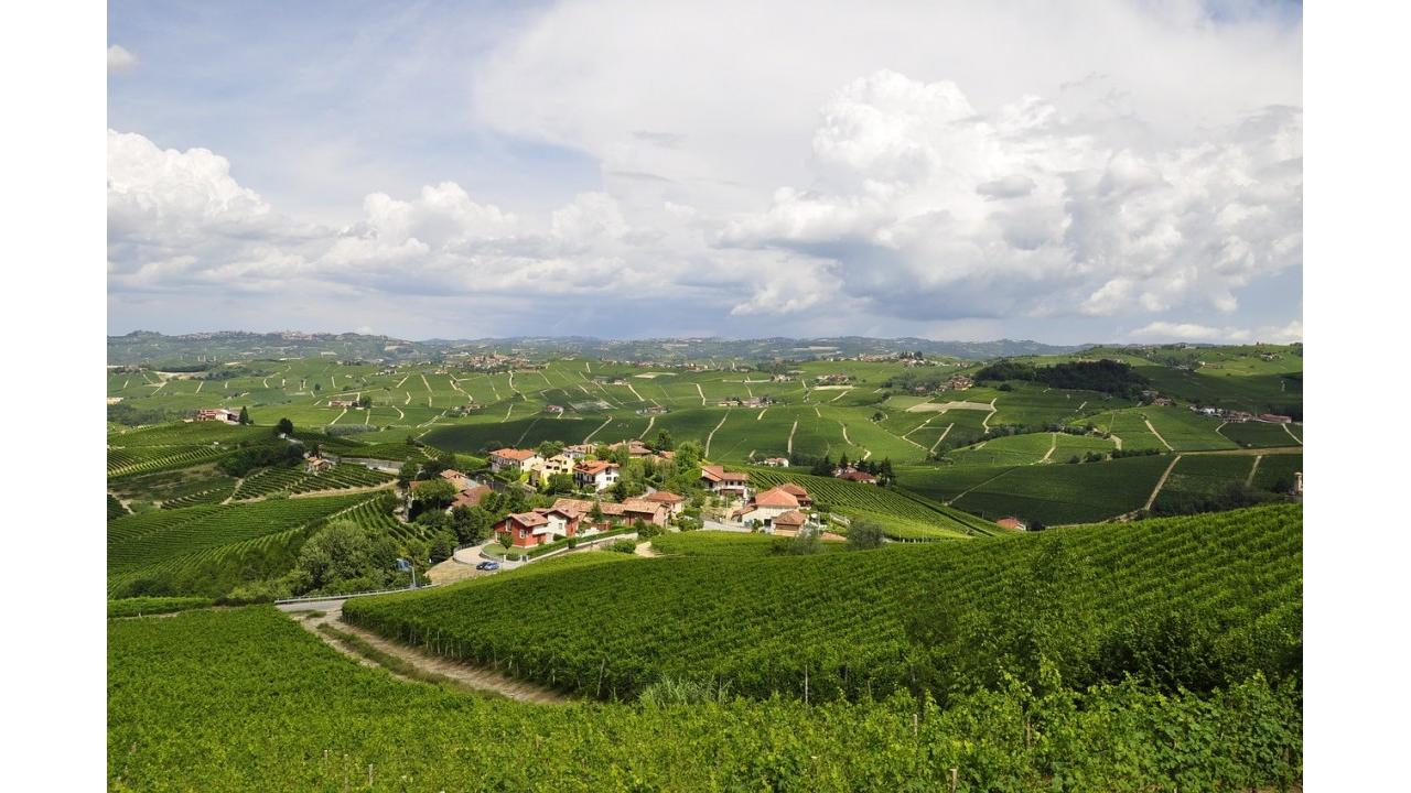  Langhe d’autunno, con la Fiera del tartufo di Alba