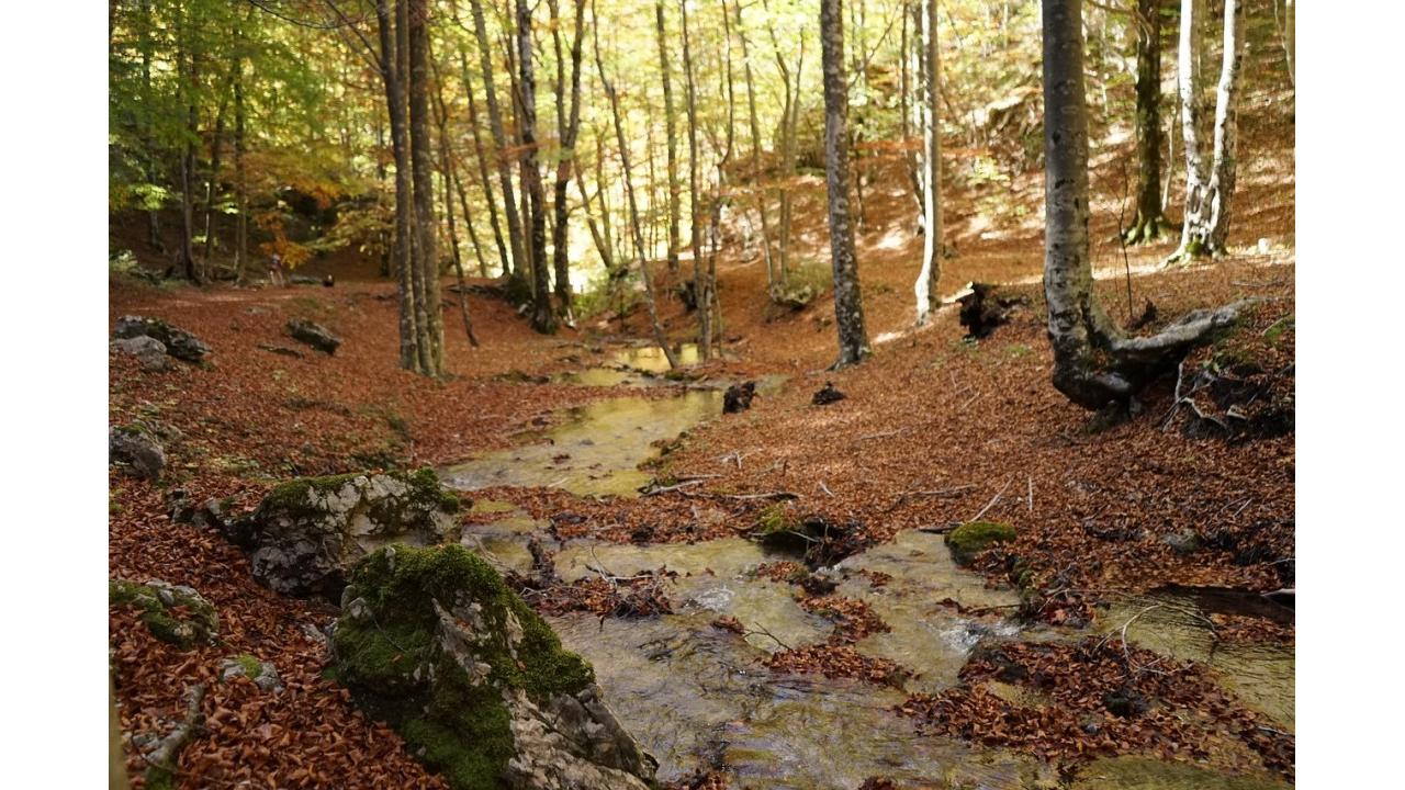 L'autunno immersivo nella natura più autentica del Parco Nazionale dello Stelvio all'Hotel Bella Vista di Trafoi