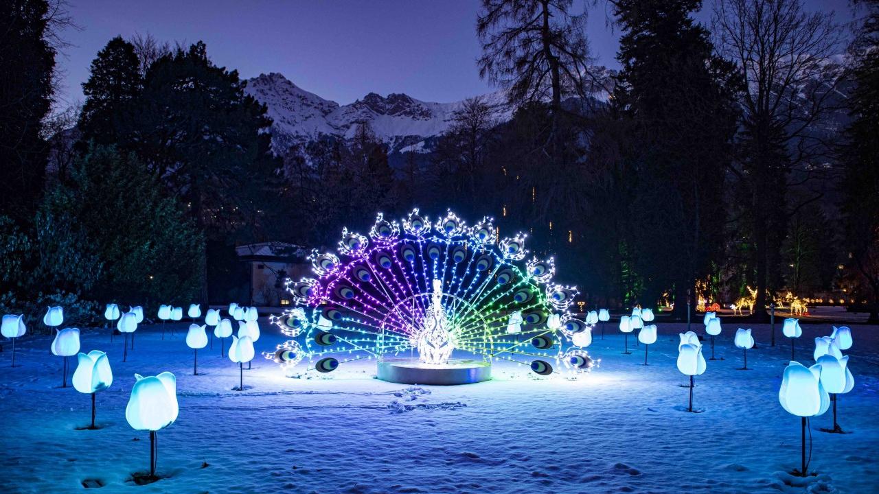 I Giardini di Castel Trauttmansdorff si illuminano per l’Avvento