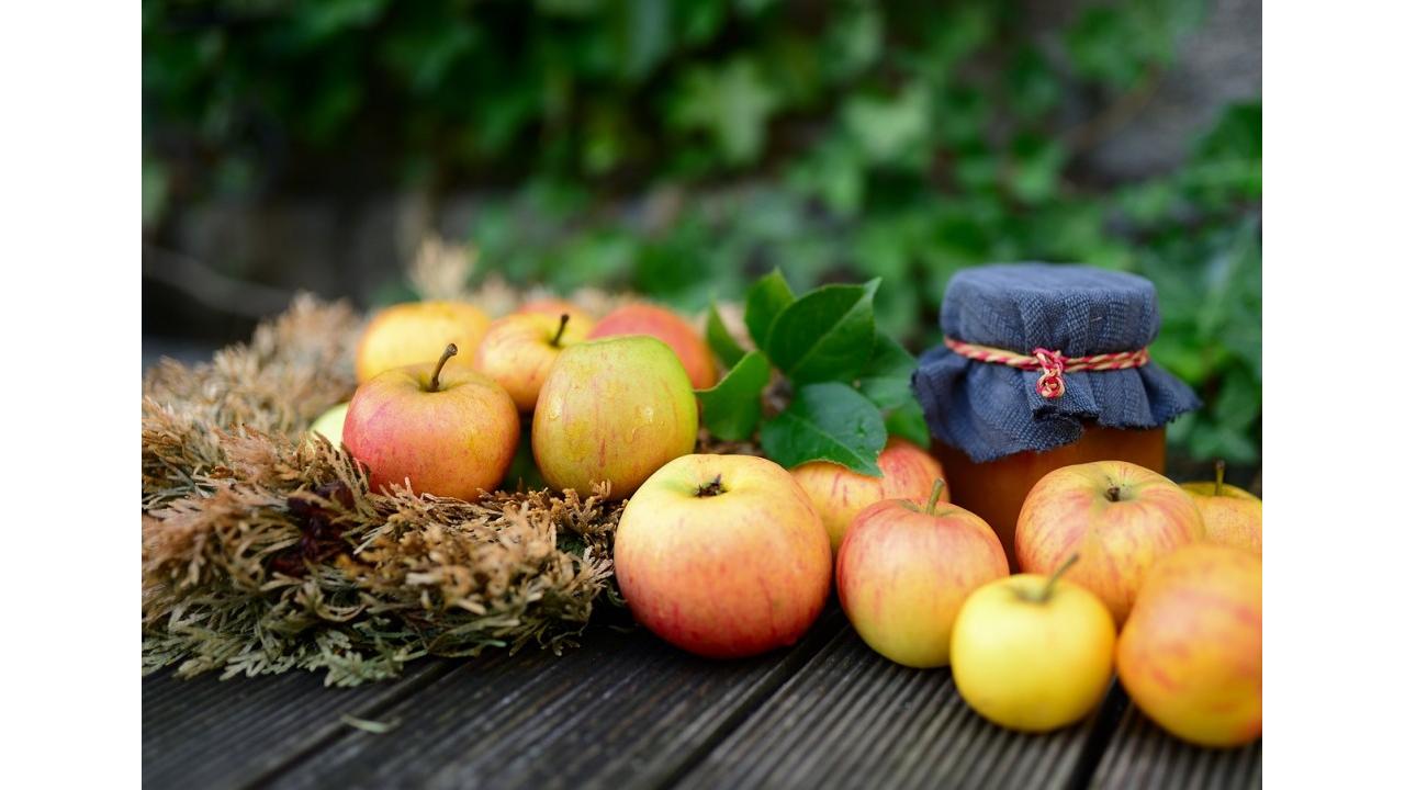 I Sapori del maso di Gallo Rosso: la guida 2025 per gustare i migliori prodotti dell’Alto Adige