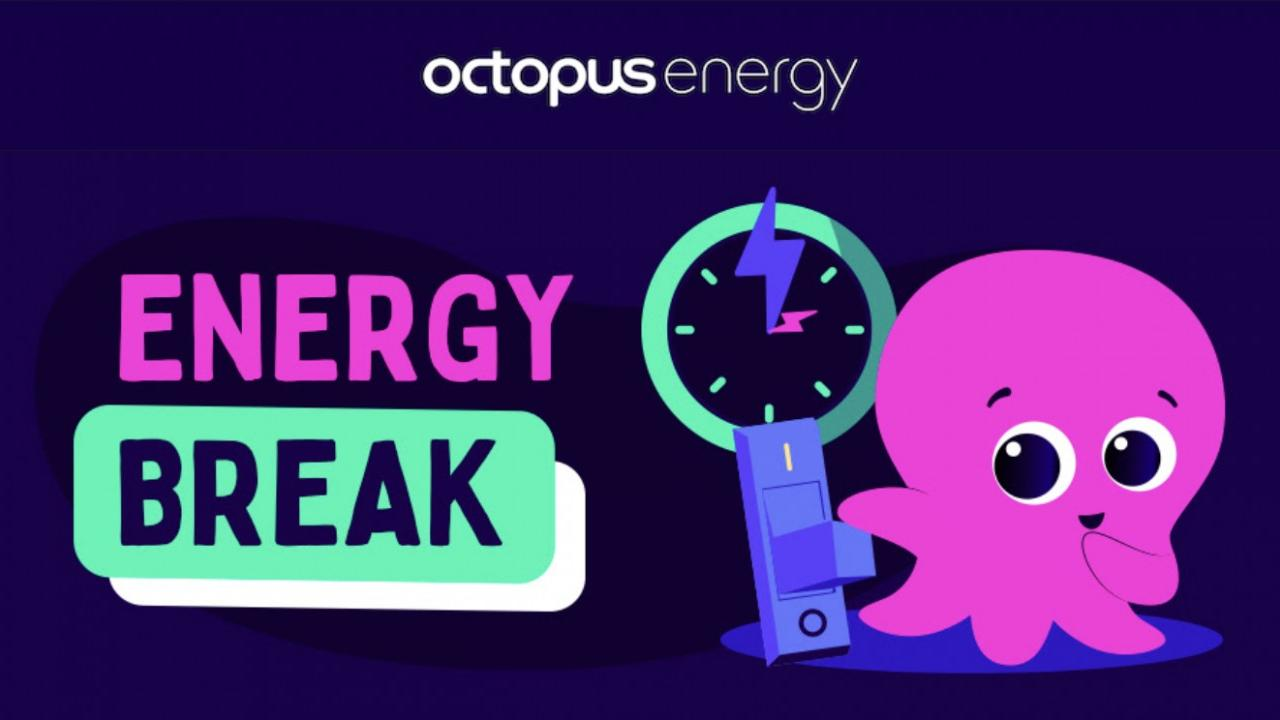 Octopus Energy lancia gli “Energy Break” per supportare la rete nei momenti di picco