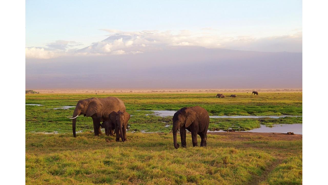 Sudafrica: un viaggio-avventura tra lusso e safari con KIBO