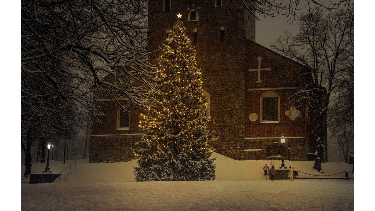 Alberi di Natale nelle piazze italiane, PEFC:  “Quelli veri e certificati restano la scelta più sostenibile”   