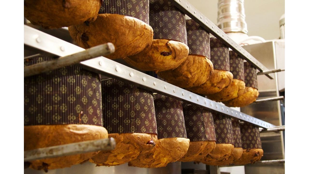 Panettone milanese, ecco la mappa con oltre cento panifici e pasticcerie di Milano, Monza Brianza e Lodi