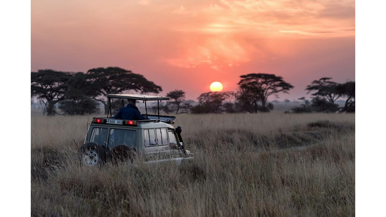 Esplorando il Sudafrica: viaggio-avventura tra lusso e safari con KIBO