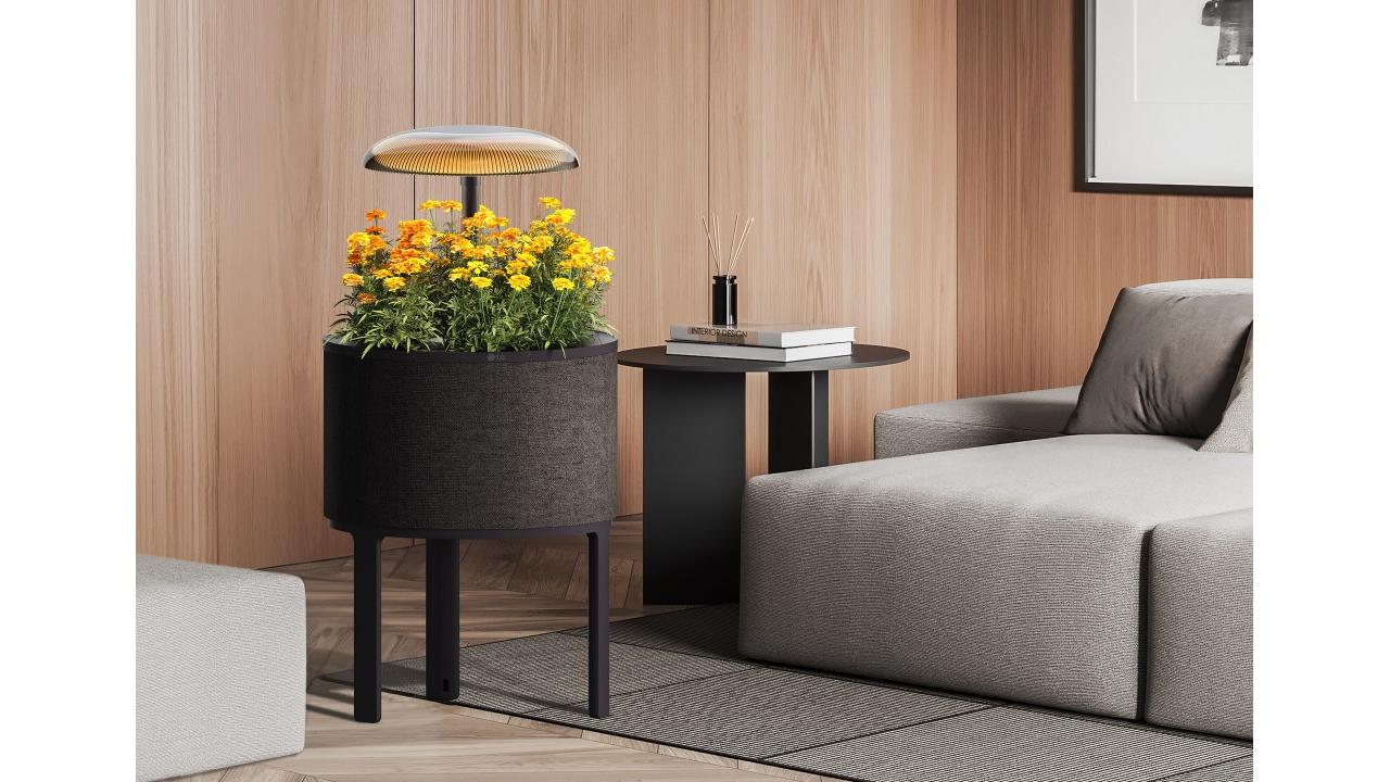 LG presenta due nuove soluzioni di giardinaggio indoor al CES 2025