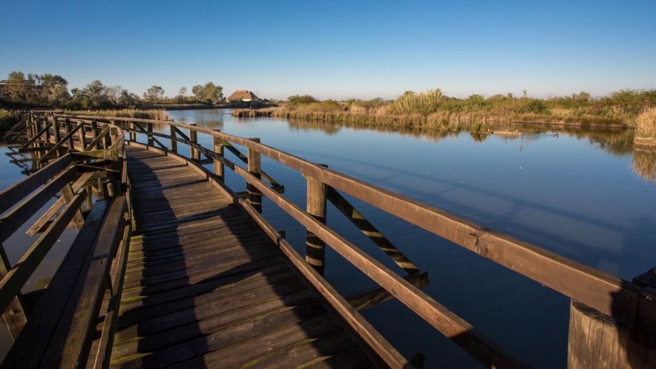 Le escursioni fuori stagione a Lignano Sabbiadoro tra natura, arte e relax