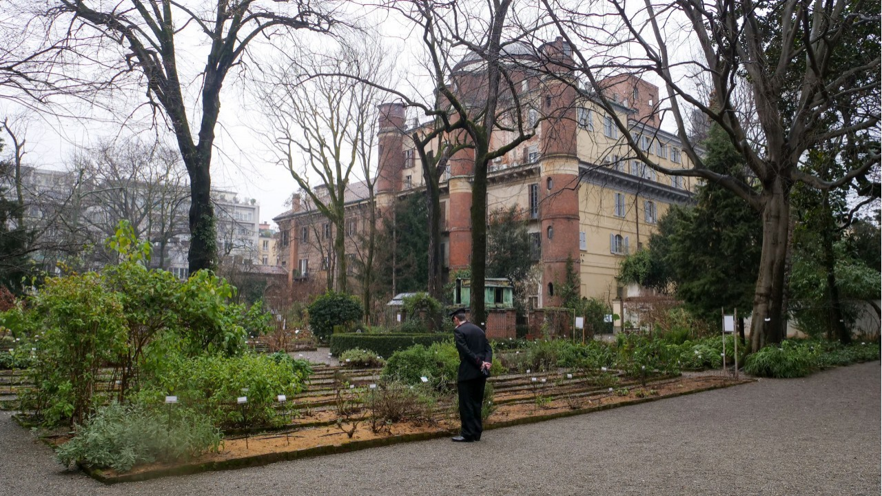 Milano: il noce del Caucaso dell’Orto Botanico di Brera riconosciuto come Albero Monumentale