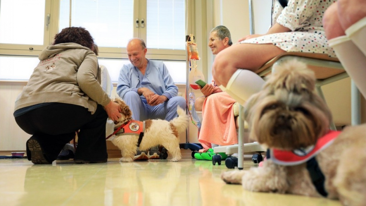 Al Policlinico di Sant'Orsola la pet therapy entra nel reparto di ginecologia oncologica