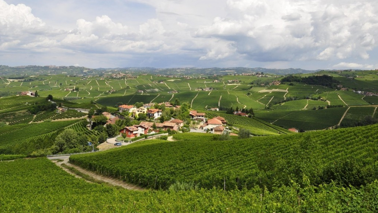 Piemont Gravel, avventura in bici a tutta natura tra Langhe, Roero e colline torinesi